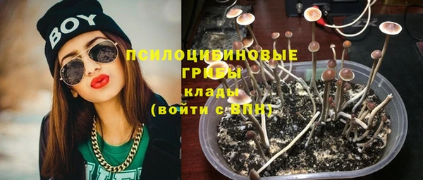 ALPHA PVP Баксан