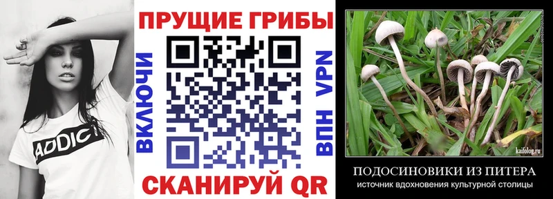 Псилоцибиновые грибы прущие грибы ссылка на мегу tor Кохма